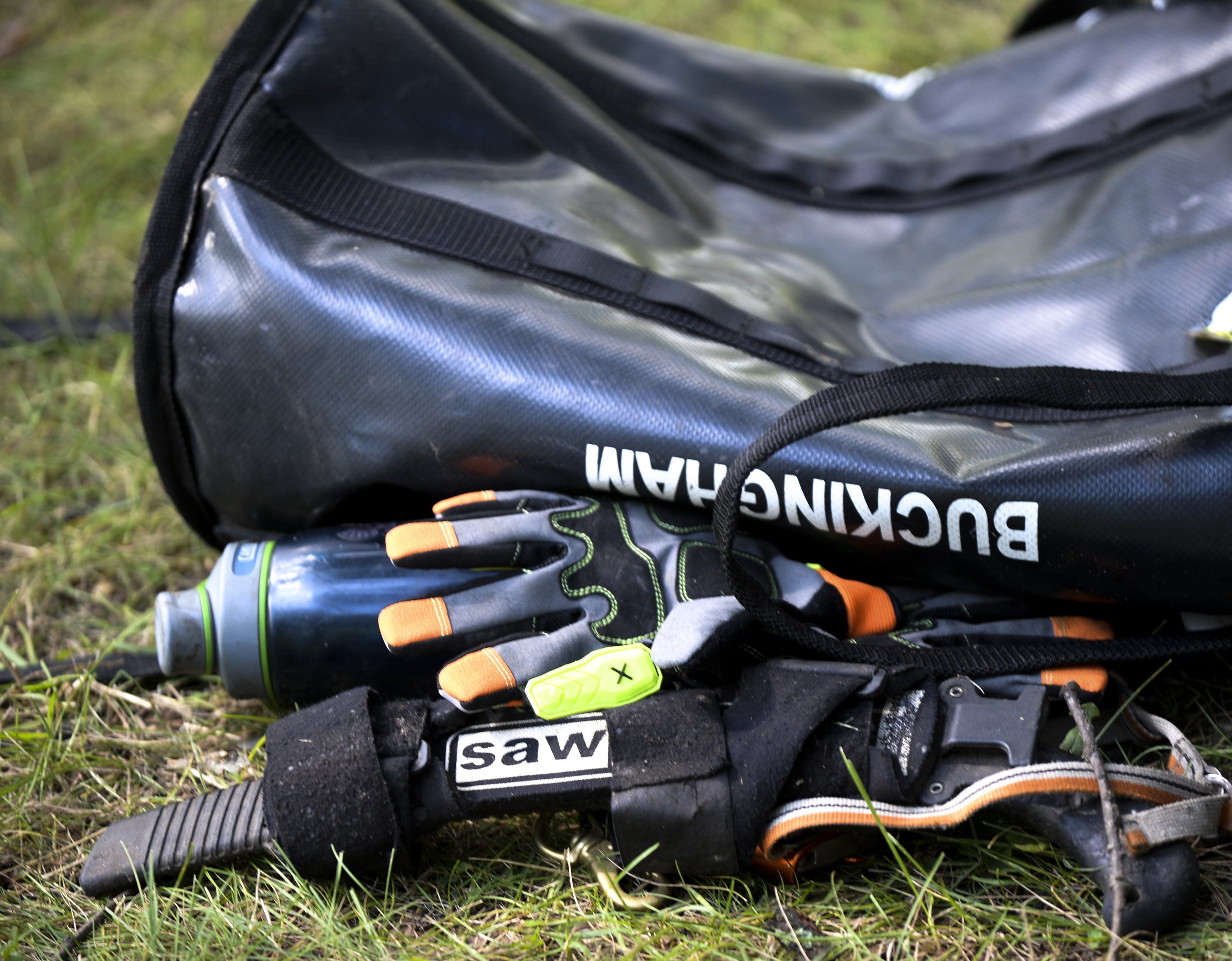Michigan Tree Climbing Championship coming to Traverse City - mlive.com