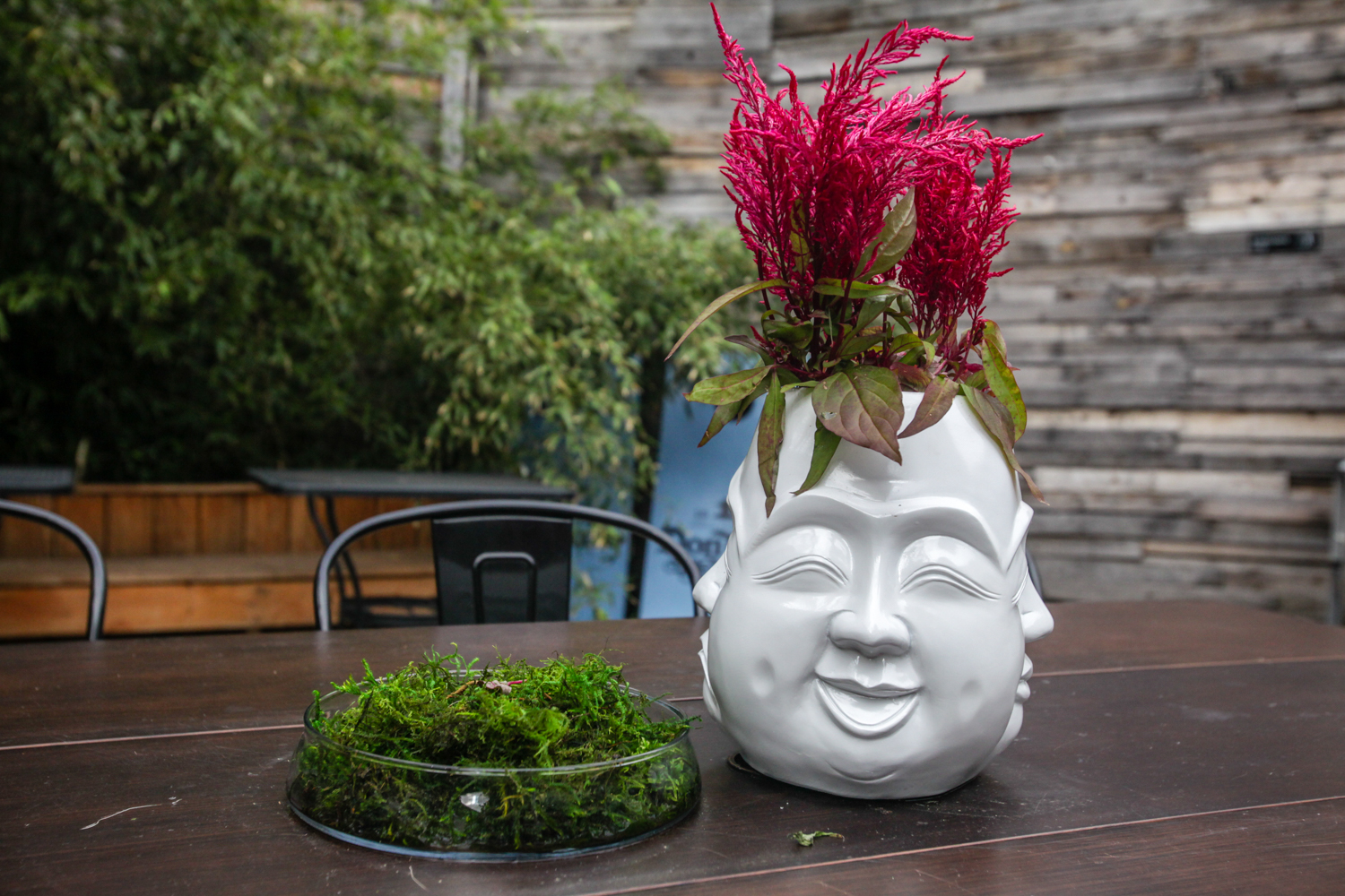 Vesper and Germantown Garden in Philadelphia