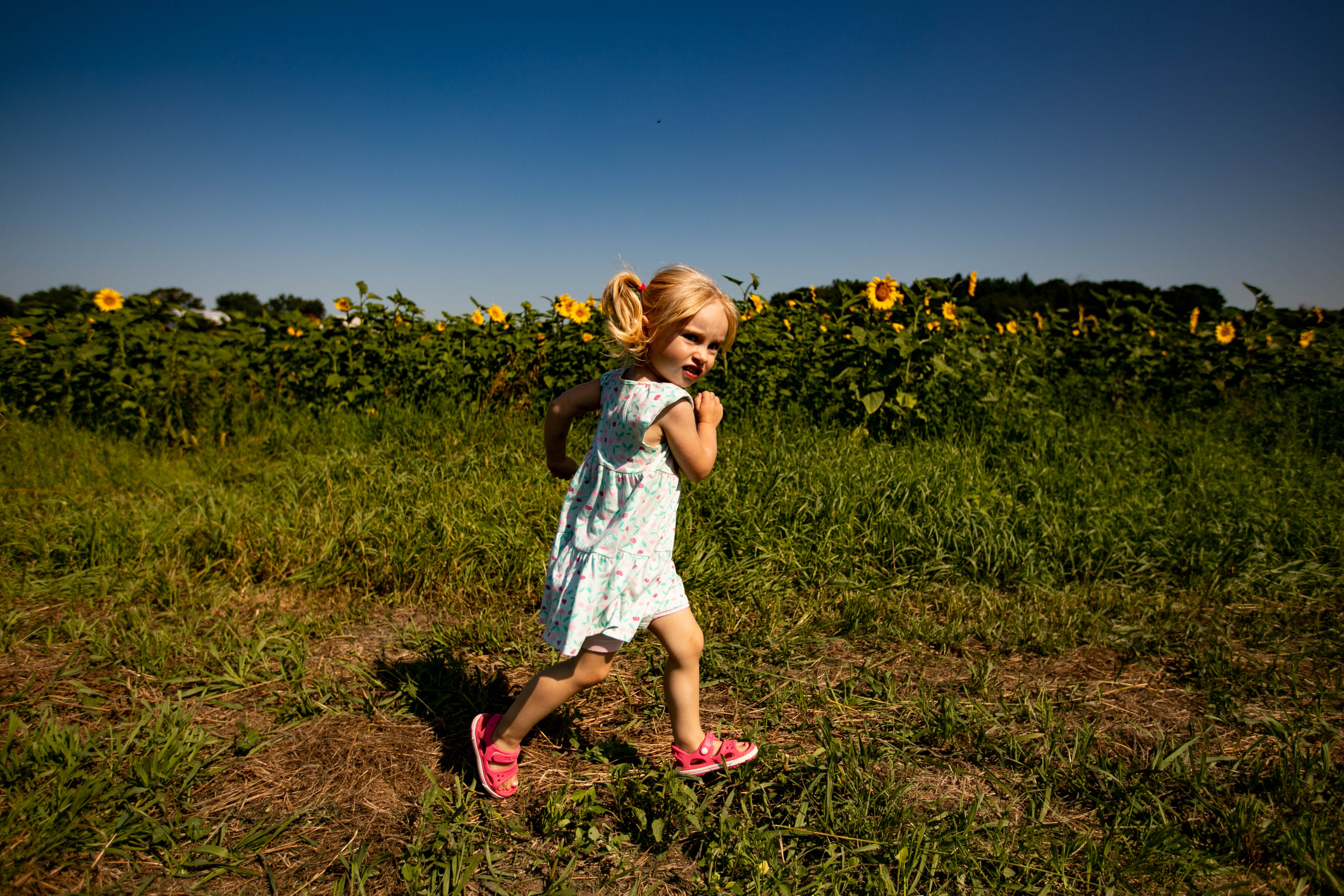 Frankenmuth Flower Festival 2019