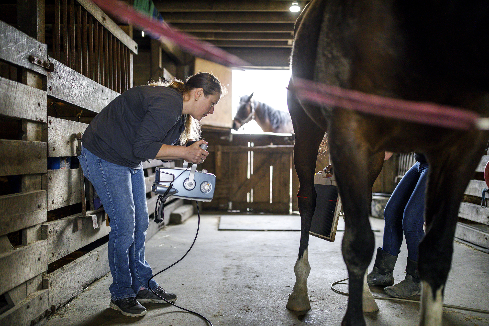 Horse Racing S Uncomfortable Truth Horses Die 87 Last Year Alone In Pa Pennlive Com