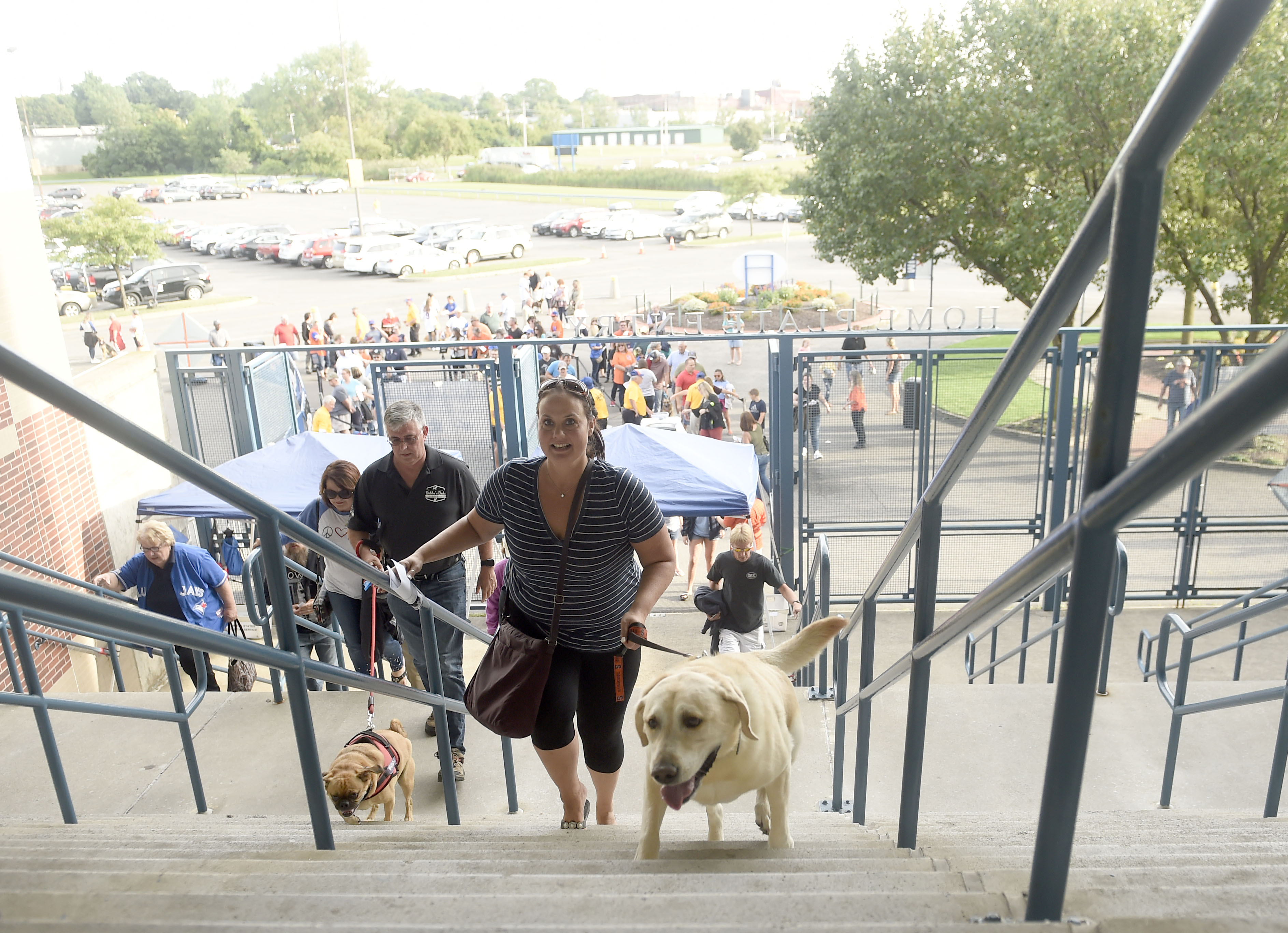 Bark in the Park Night at NBT Bank Stadium Bark in the Park Night at NBT Bank Stadium