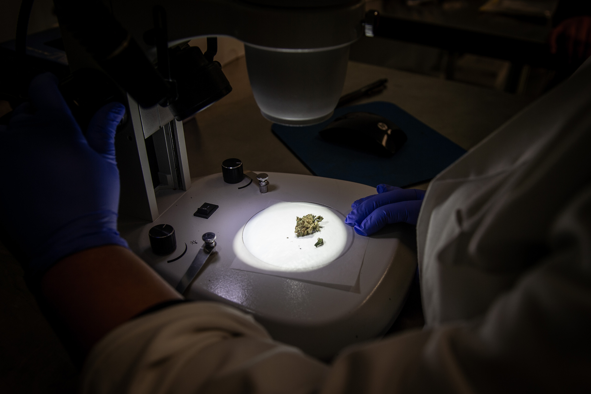 PSI Labs tests cannabis products from across Michigan - mlive.com