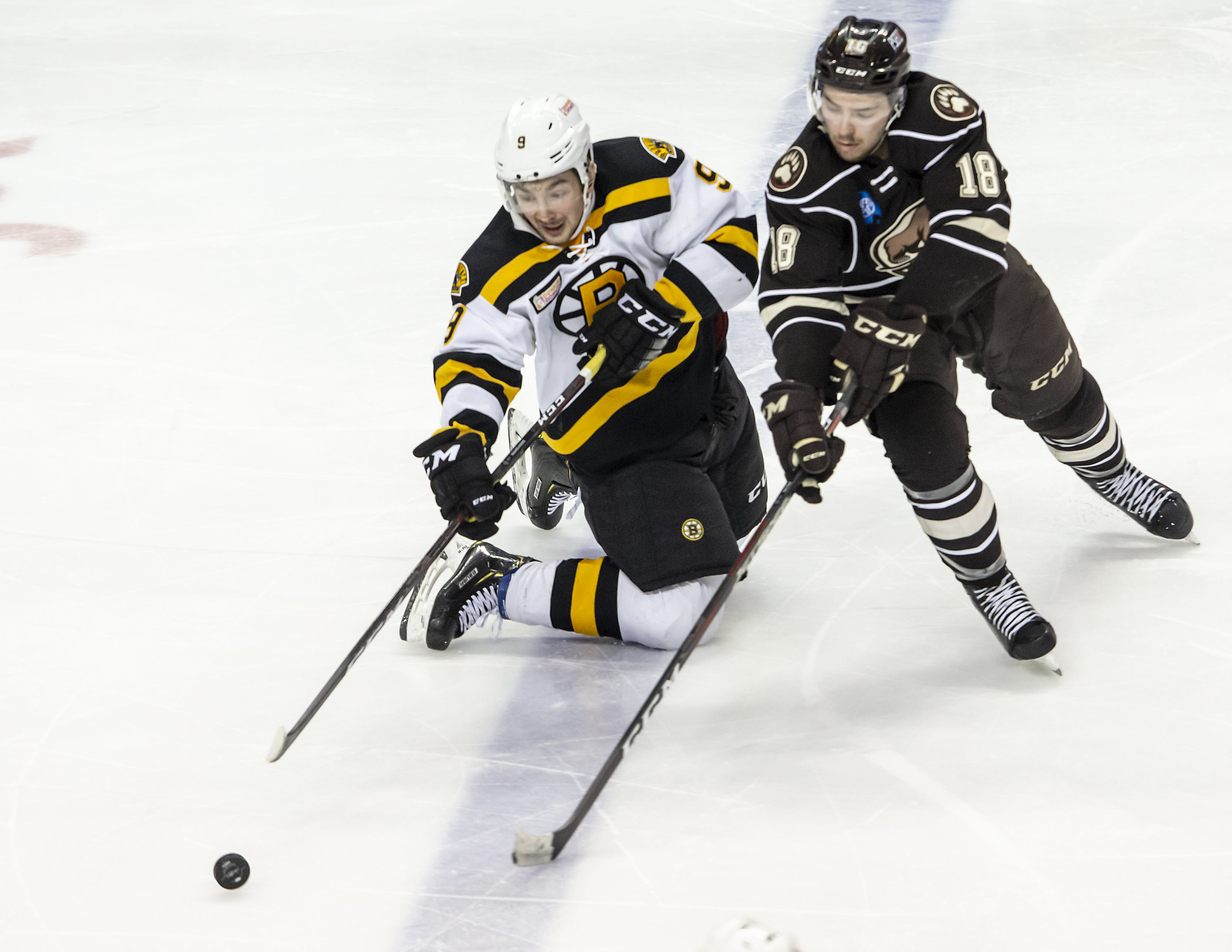 Hershey Bears over Providence Bruins 2-1 at the Giant Center - pennlive.com