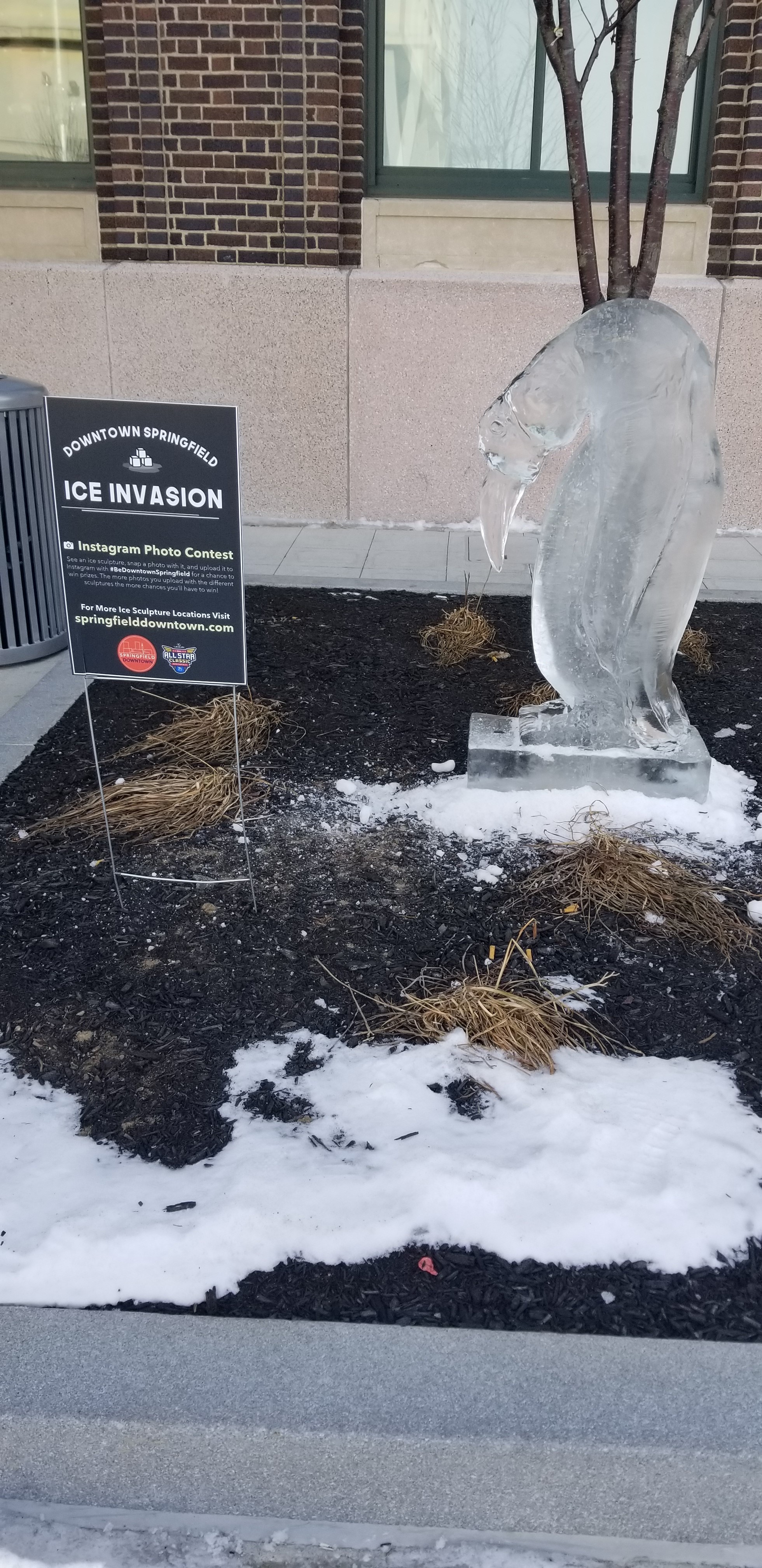 Ice Invasion Springfield Downtown Ice Invasion 2019 - masslive.com