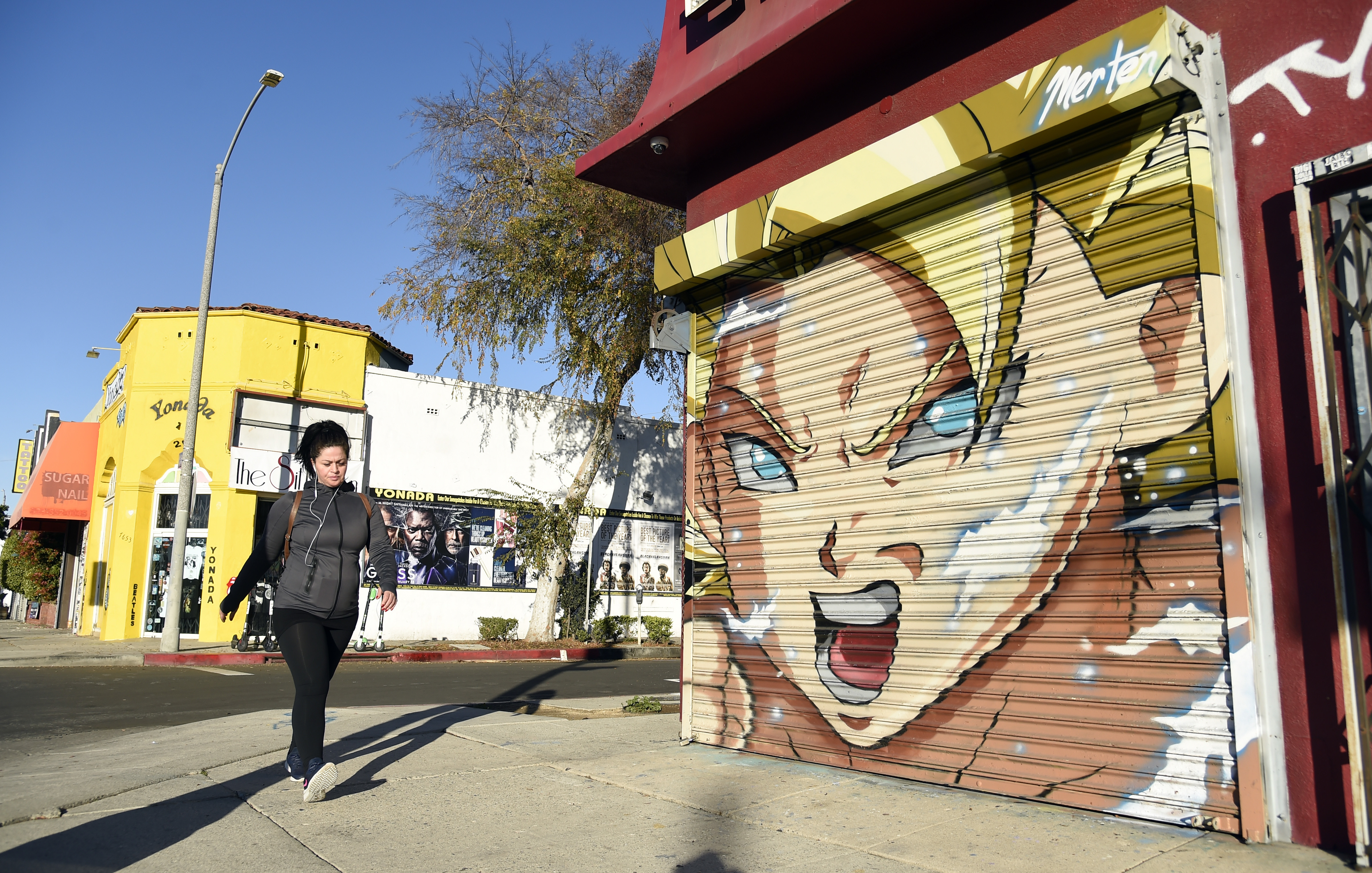 Dragon ball celebities