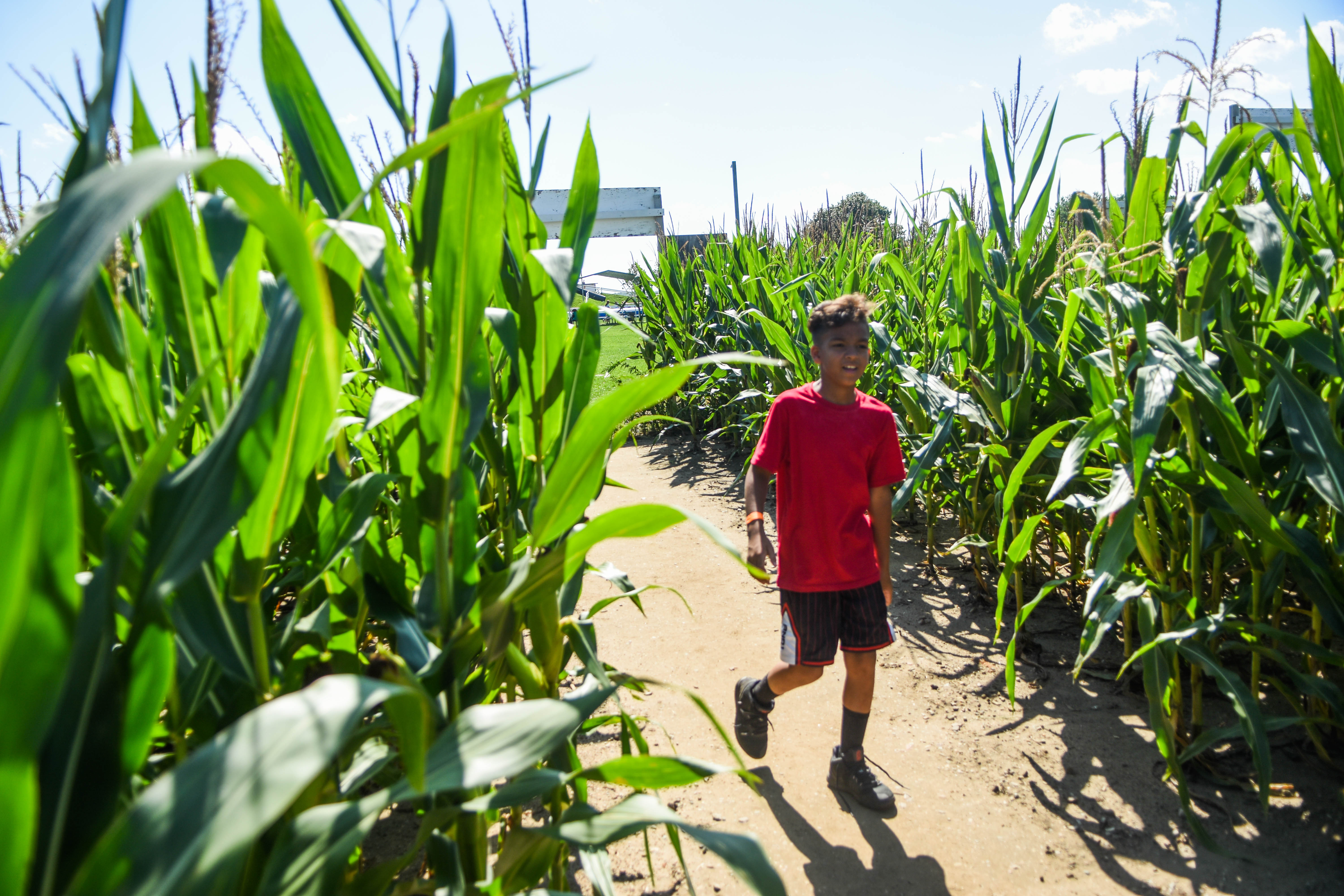 Family fun at DeBuck's Corn Maze and Pumpkin Patch - mlive.com