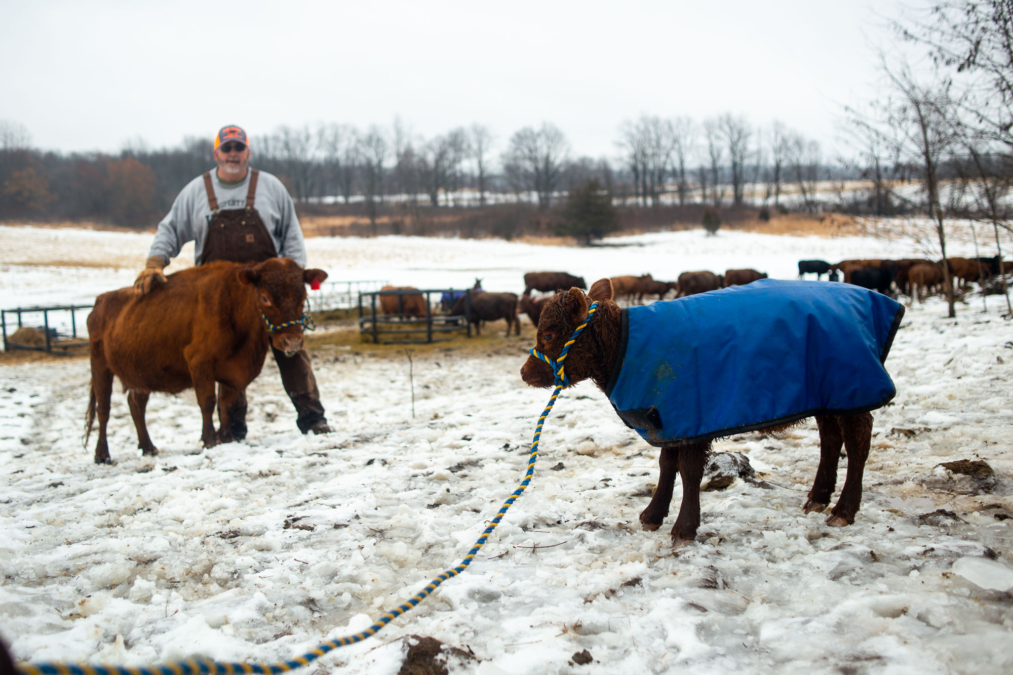 75acre proposed greenbelt farm at 7084 Spencer Road in Northfield