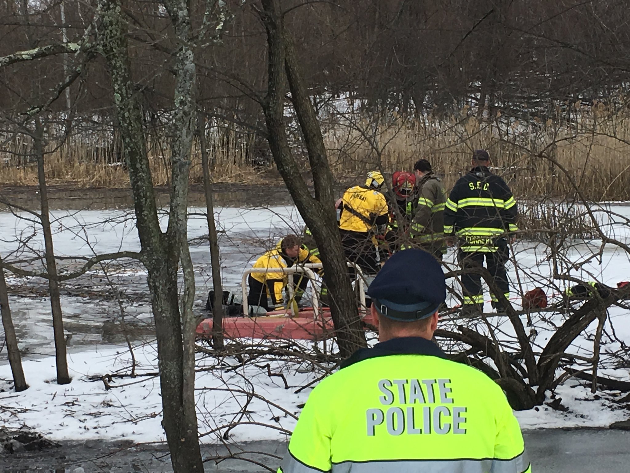 Compass Dog Rescue Compass the dog gets rescued - masslive.com