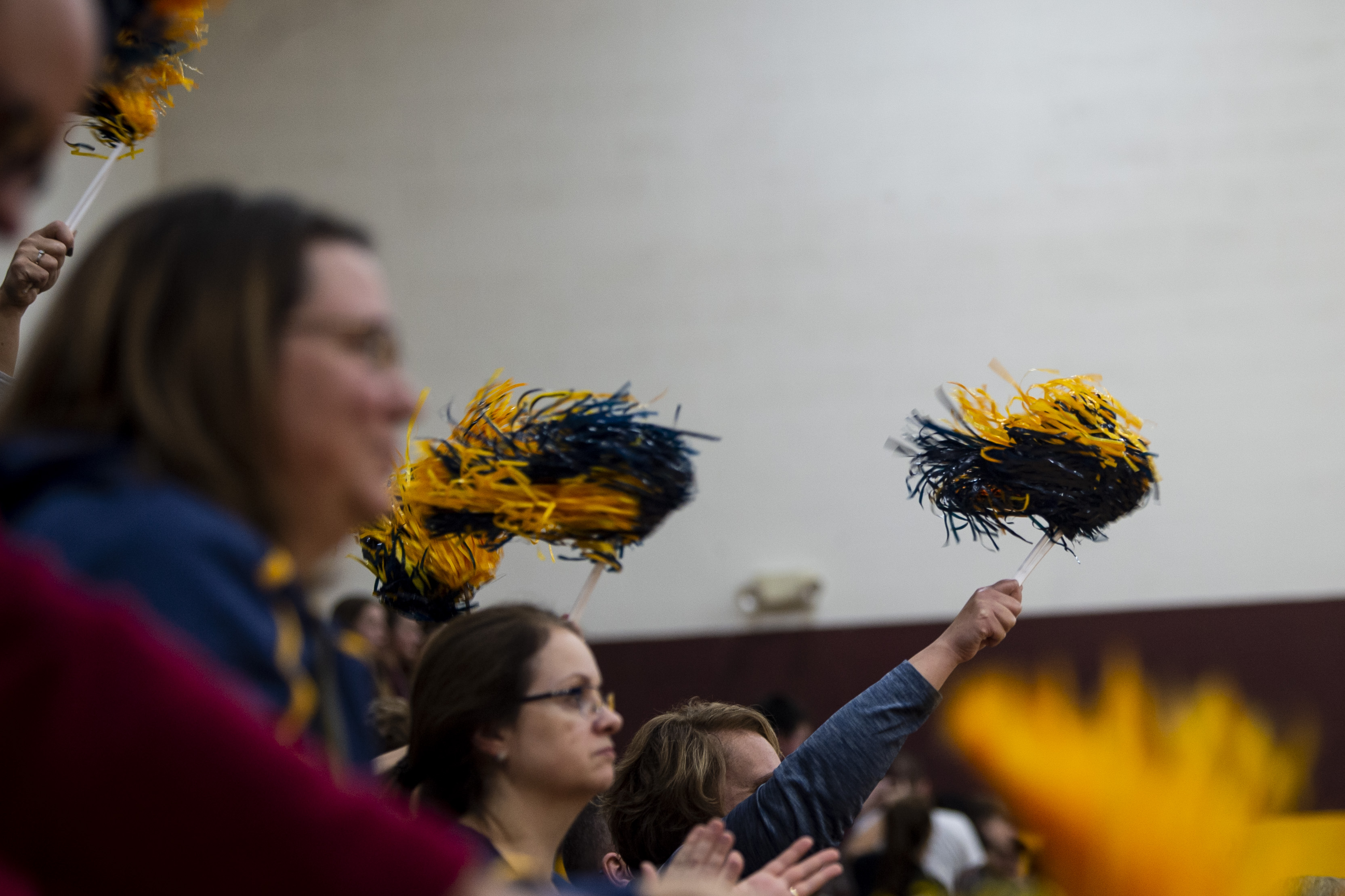 Valley Lutheran volleyball defeats Reese in Division 3 District