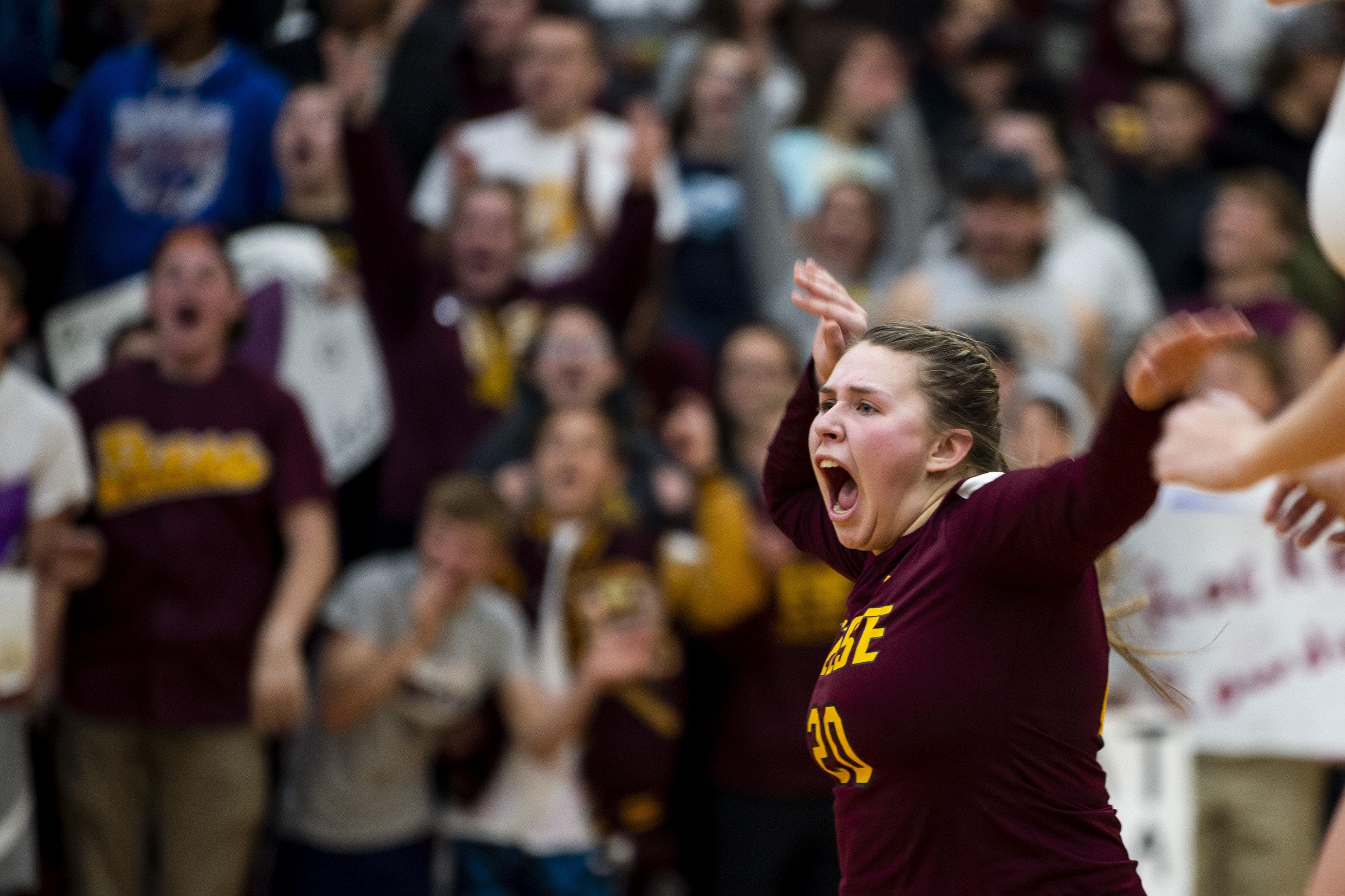 Valley Lutheran volleyball defeats Reese in Division 3 District