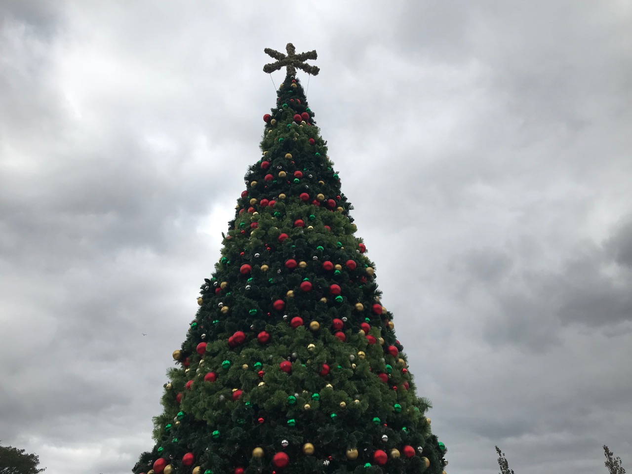 Christmas trees light up inside, outside of Staten Island Mall