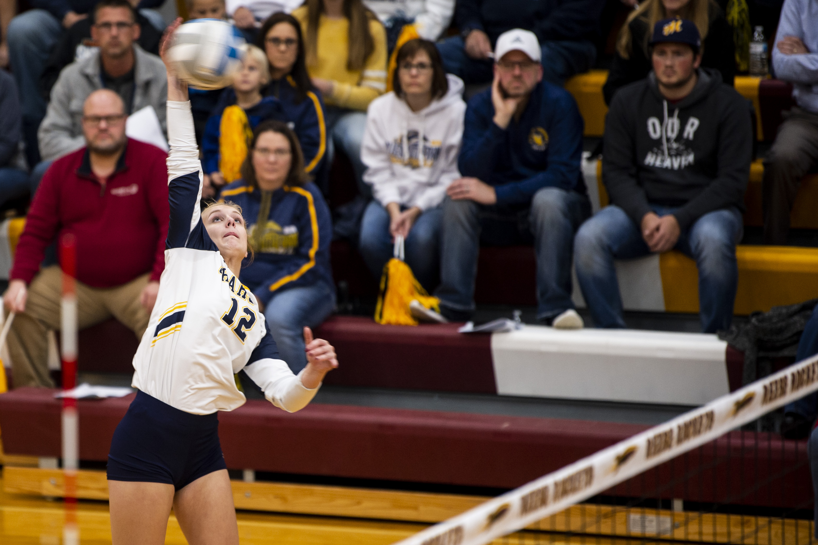 Valley Lutheran volleyball defeats Reese in Division 3 District