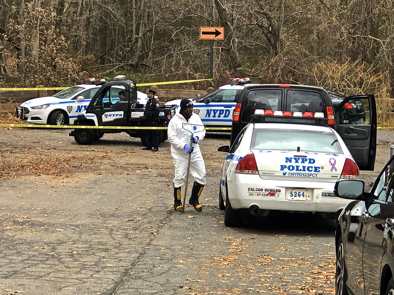 Cops search for clues in mysterious death of woman found in park ...