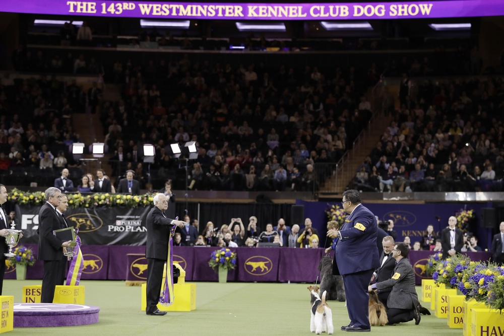 westminster ineligible