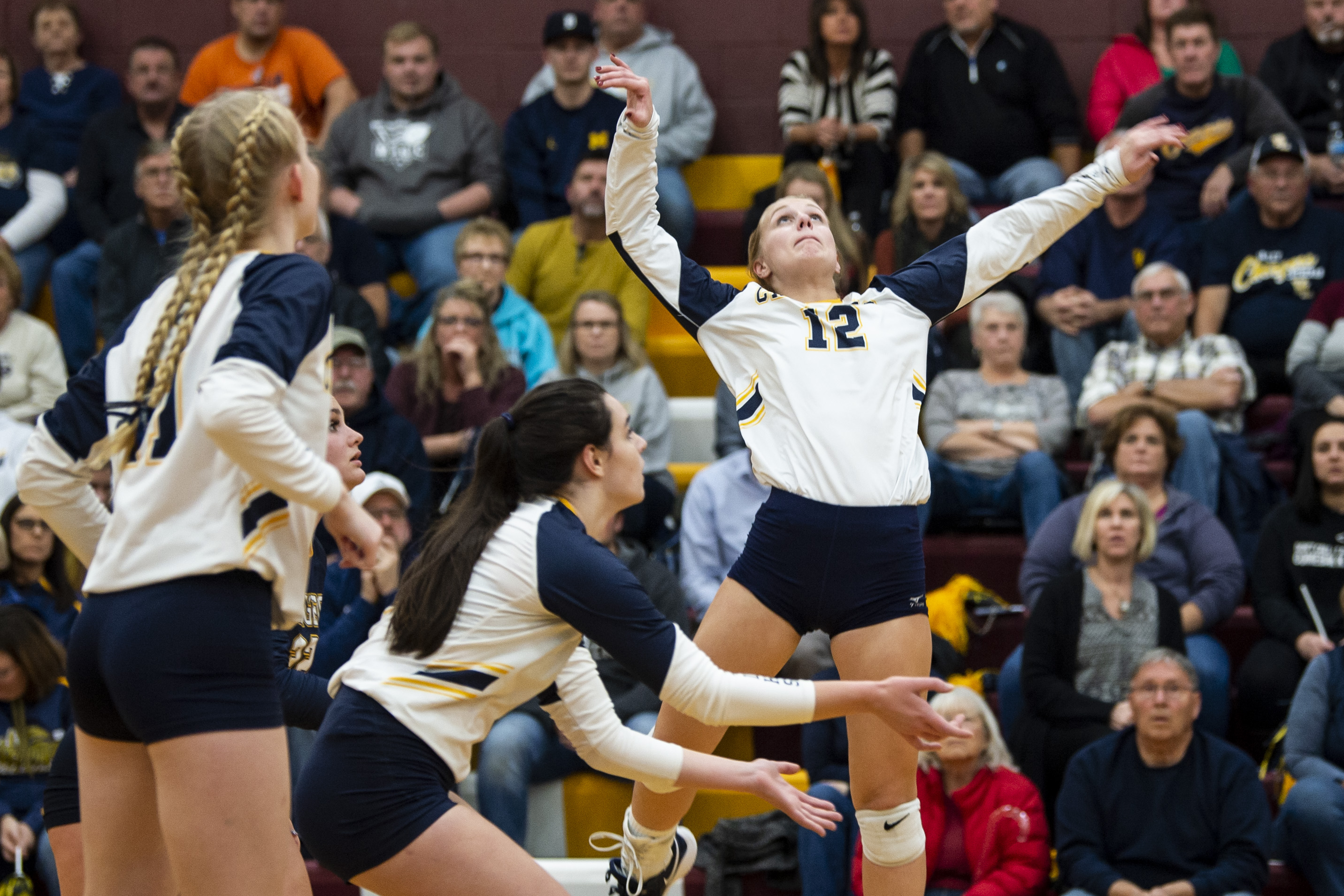 Valley Lutheran volleyball defeats Reese in Division 3 District