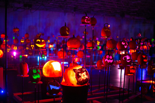 Rise of the Jack O'Lanterns Event at Meadowlands Expo Center - nj.com