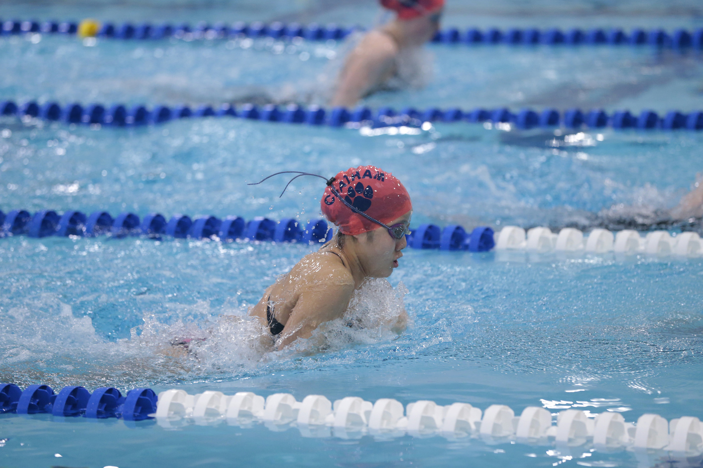 North 2, Public B Girl's Swimming Sectional Finals - nj.com