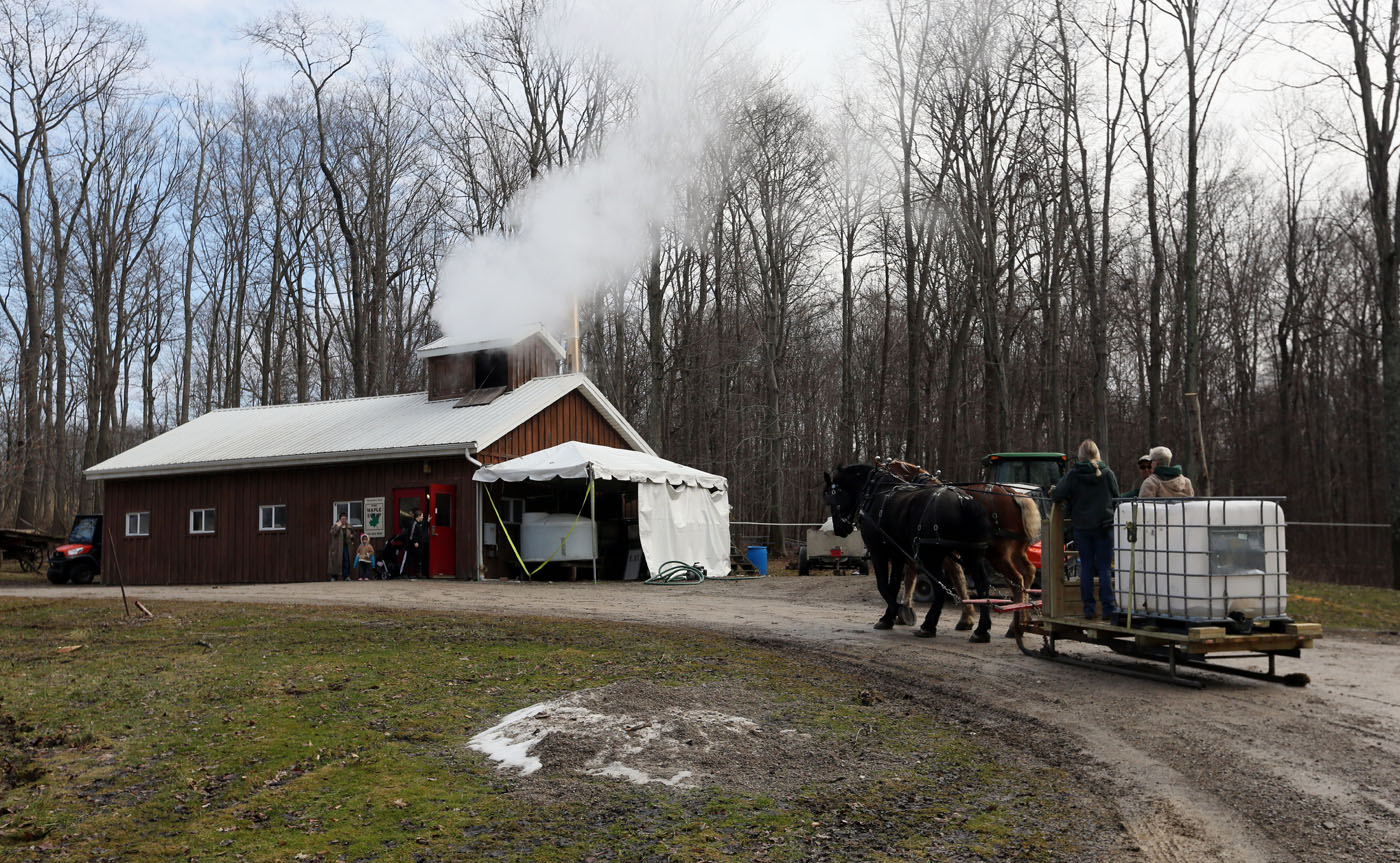 The Maple Sugaring Festival at Lake Metroparks Farmpark is back for the